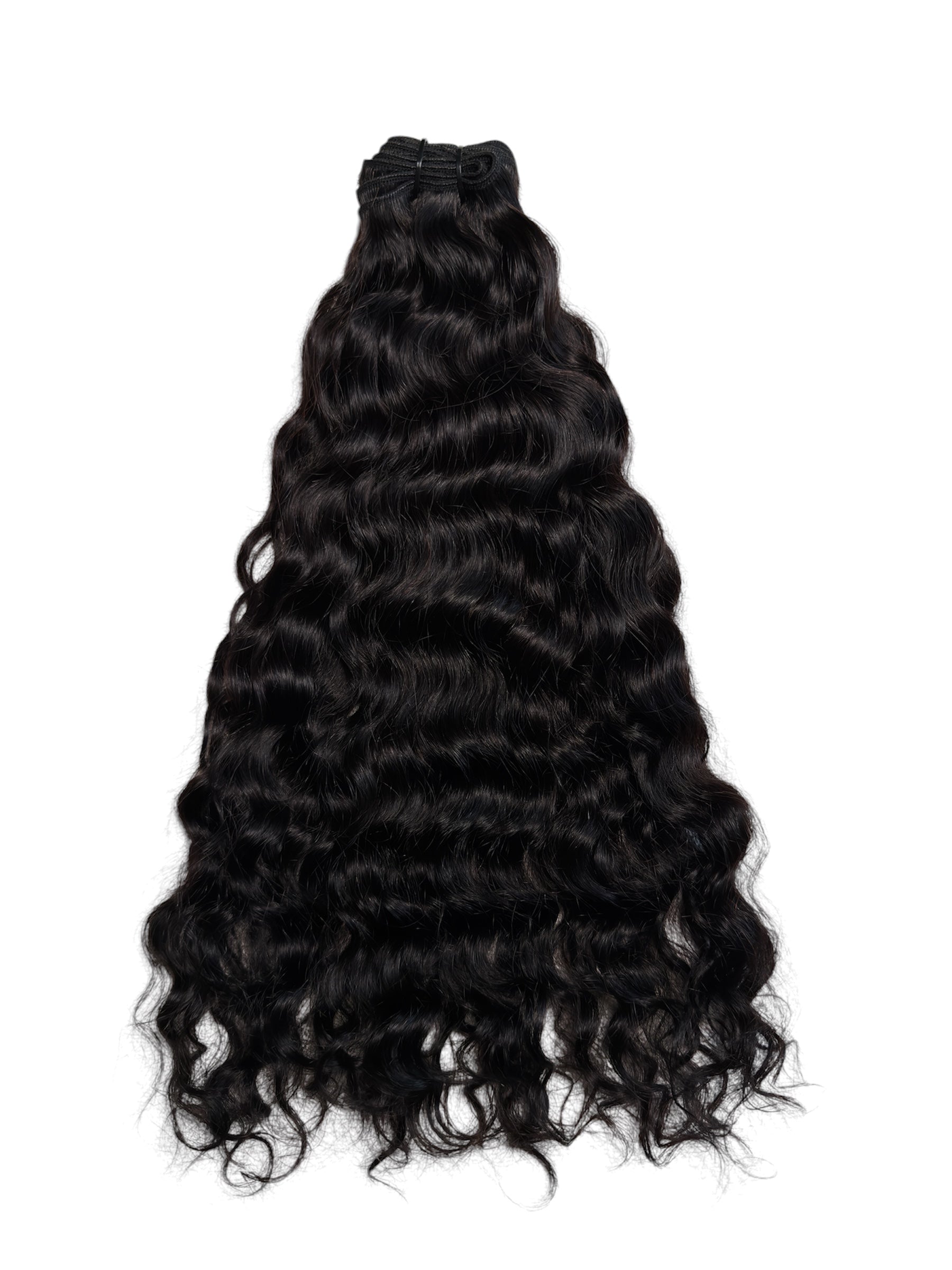 Indian Curly