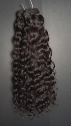 Indian Curly